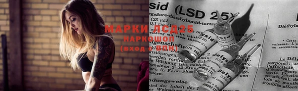 ECSTASY Бронницы
