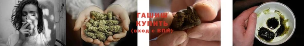 mdpv Бородино