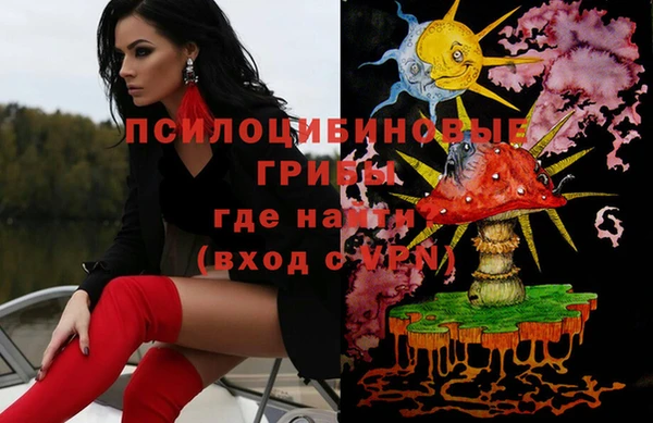 mdpv Бородино