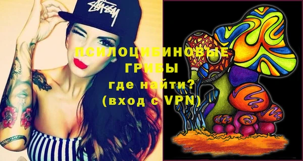 ECSTASY Бронницы