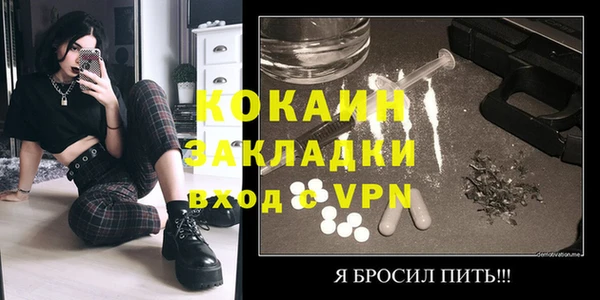mdpv Бородино
