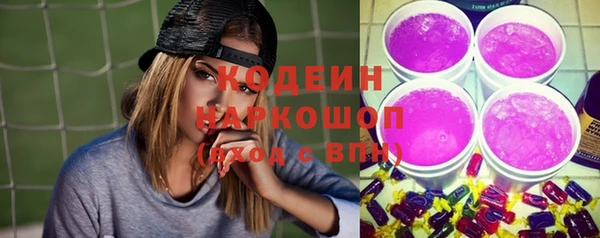 mdpv Бородино
