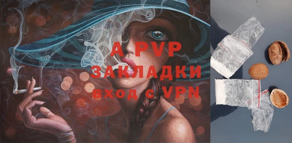 ECSTASY Бронницы