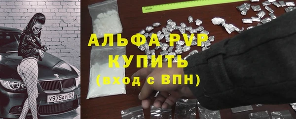 mdpv Бородино