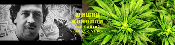 mdpv Бородино