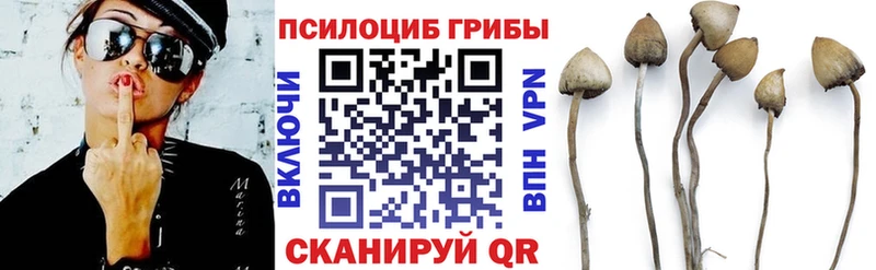 Псилоцибиновые грибы GOLDEN TEACHER продажа наркотиков OMG вход Оха